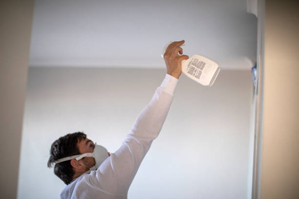 Professional Mold Remediation in Silver Lakes, CA