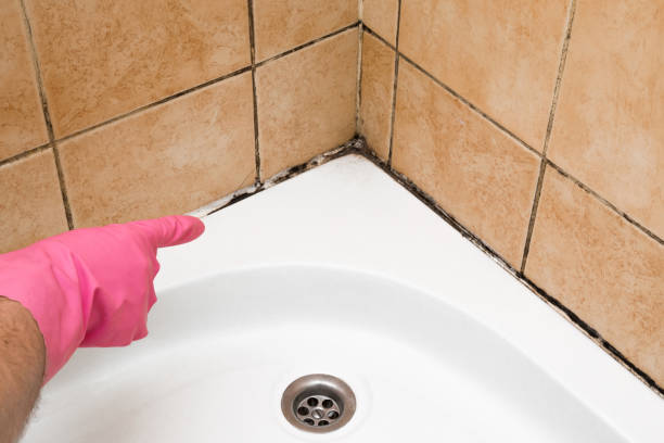 Best Mold Testing and Inspection Services in Silver Lakes, CA